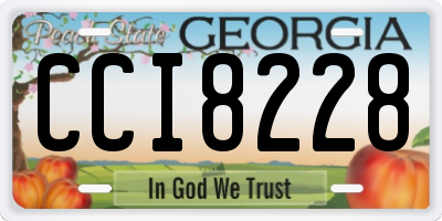 GA license plate CCI8228
