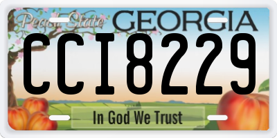 GA license plate CCI8229