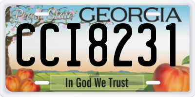 GA license plate CCI8231