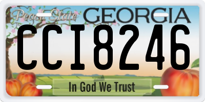 GA license plate CCI8246