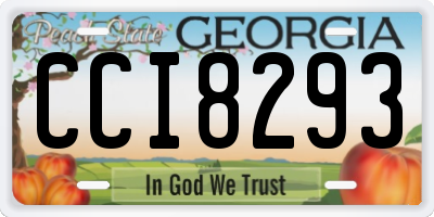 GA license plate CCI8293