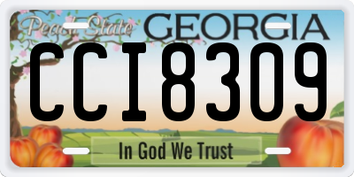 GA license plate CCI8309