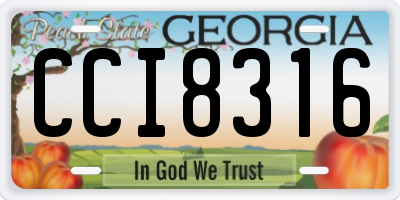 GA license plate CCI8316