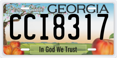 GA license plate CCI8317