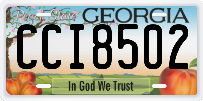 GA license plate CCI8502