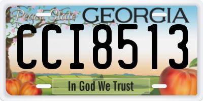 GA license plate CCI8513