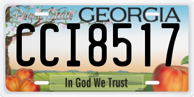 GA license plate CCI8517
