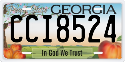 GA license plate CCI8524