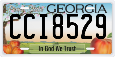 GA license plate CCI8529