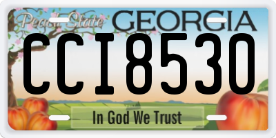GA license plate CCI8530