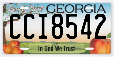 GA license plate CCI8542