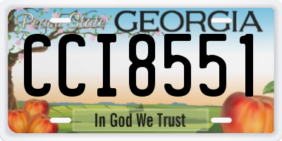 GA license plate CCI8551