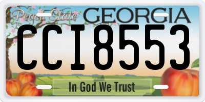 GA license plate CCI8553