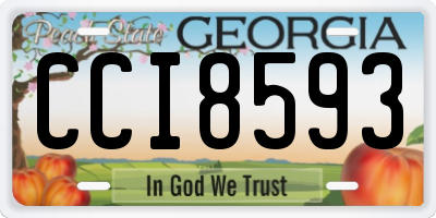GA license plate CCI8593