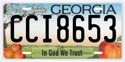 GA license plate CCI8653