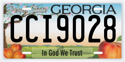 GA license plate CCI9028