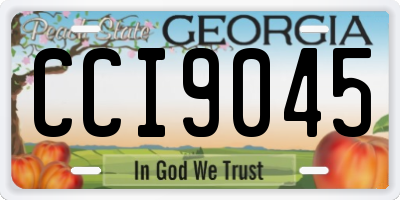 GA license plate CCI9045