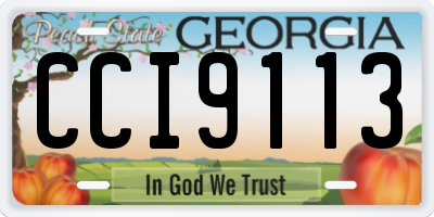 GA license plate CCI9113
