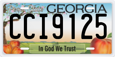 GA license plate CCI9125