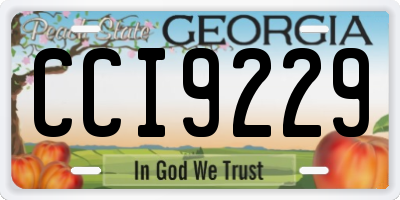 GA license plate CCI9229