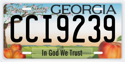 GA license plate CCI9239