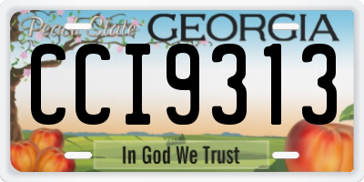 GA license plate CCI9313