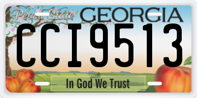 GA license plate CCI9513