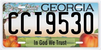 GA license plate CCI9530