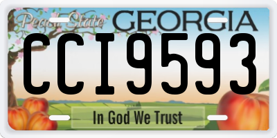GA license plate CCI9593