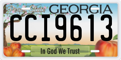 GA license plate CCI9613