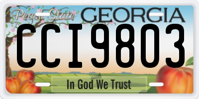 GA license plate CCI9803