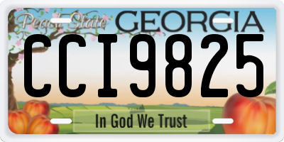 GA license plate CCI9825