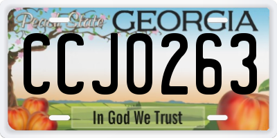 GA license plate CCJ0263
