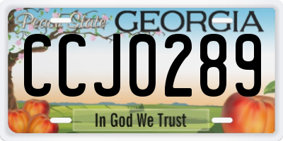GA license plate CCJ0289