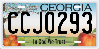 GA license plate CCJ0293
