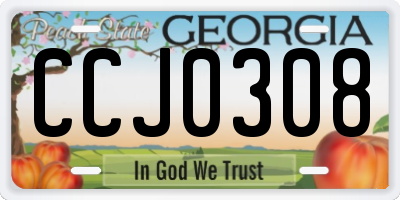 GA license plate CCJ0308