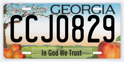 GA license plate CCJ0829