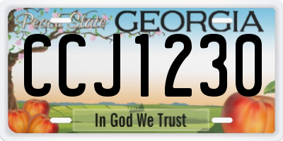 GA license plate CCJ1230