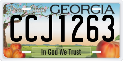 GA license plate CCJ1263