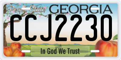 GA license plate CCJ2230