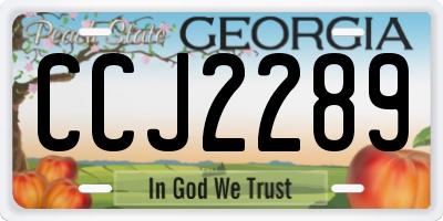 GA license plate CCJ2289