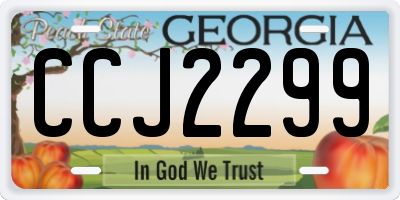 GA license plate CCJ2299
