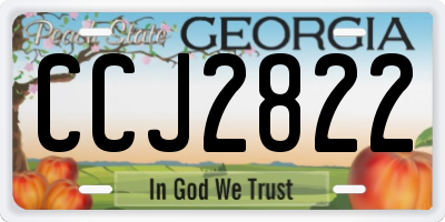 GA license plate CCJ2822