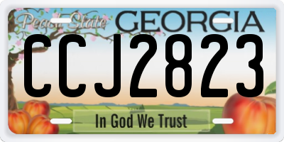 GA license plate CCJ2823