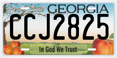 GA license plate CCJ2825