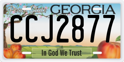 GA license plate CCJ2877