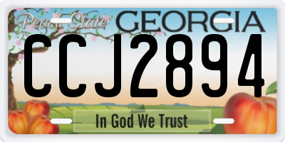 GA license plate CCJ2894