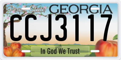 GA license plate CCJ3117