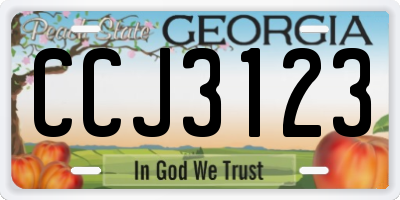GA license plate CCJ3123