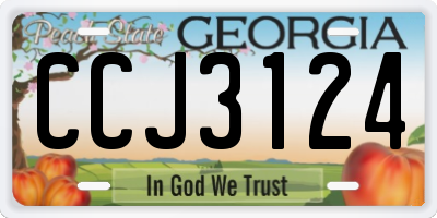 GA license plate CCJ3124